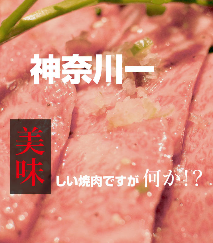 神奈川一美味しい焼肉ですが何か 肉問屋直営焼肉 杏樹亭 鶴見 綱島 大倉山 岸根 新横浜の美味しい焼肉