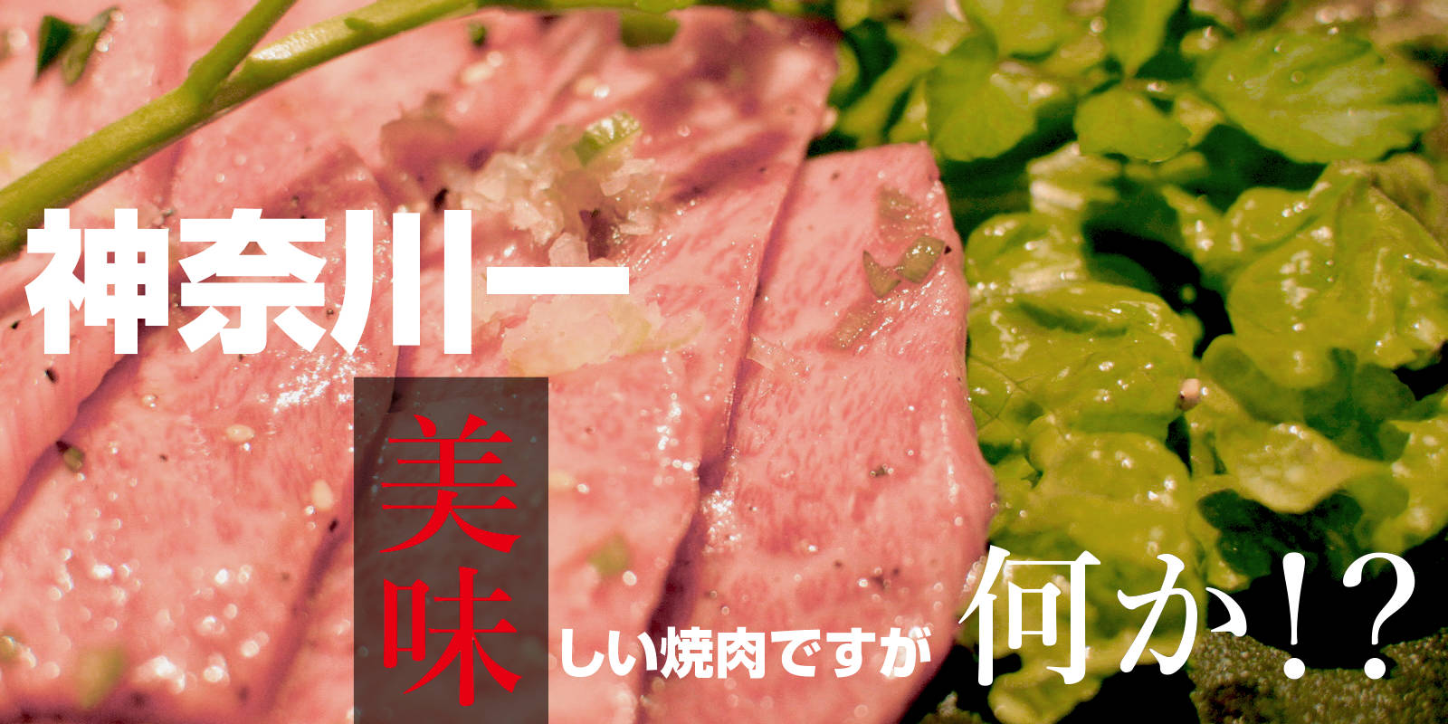 肉問屋直営焼肉 杏樹亭 神奈川一美味しい焼肉