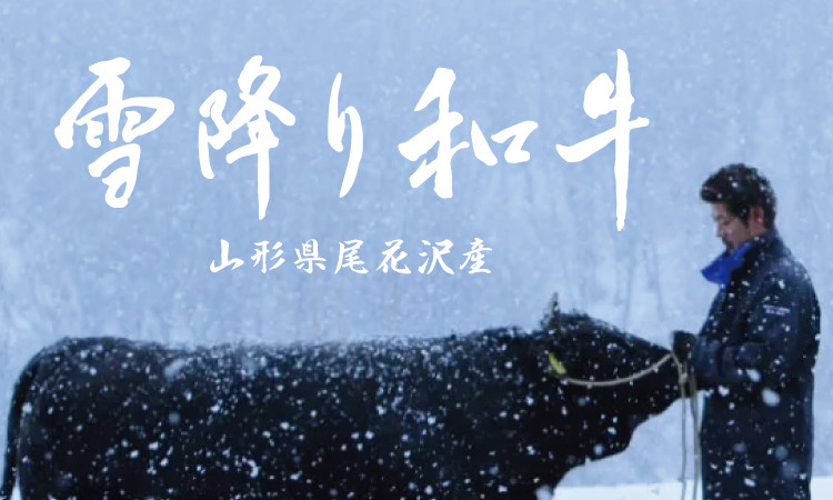 杏樹亭は山形県尾花産霜降り和牛をお出ししております。